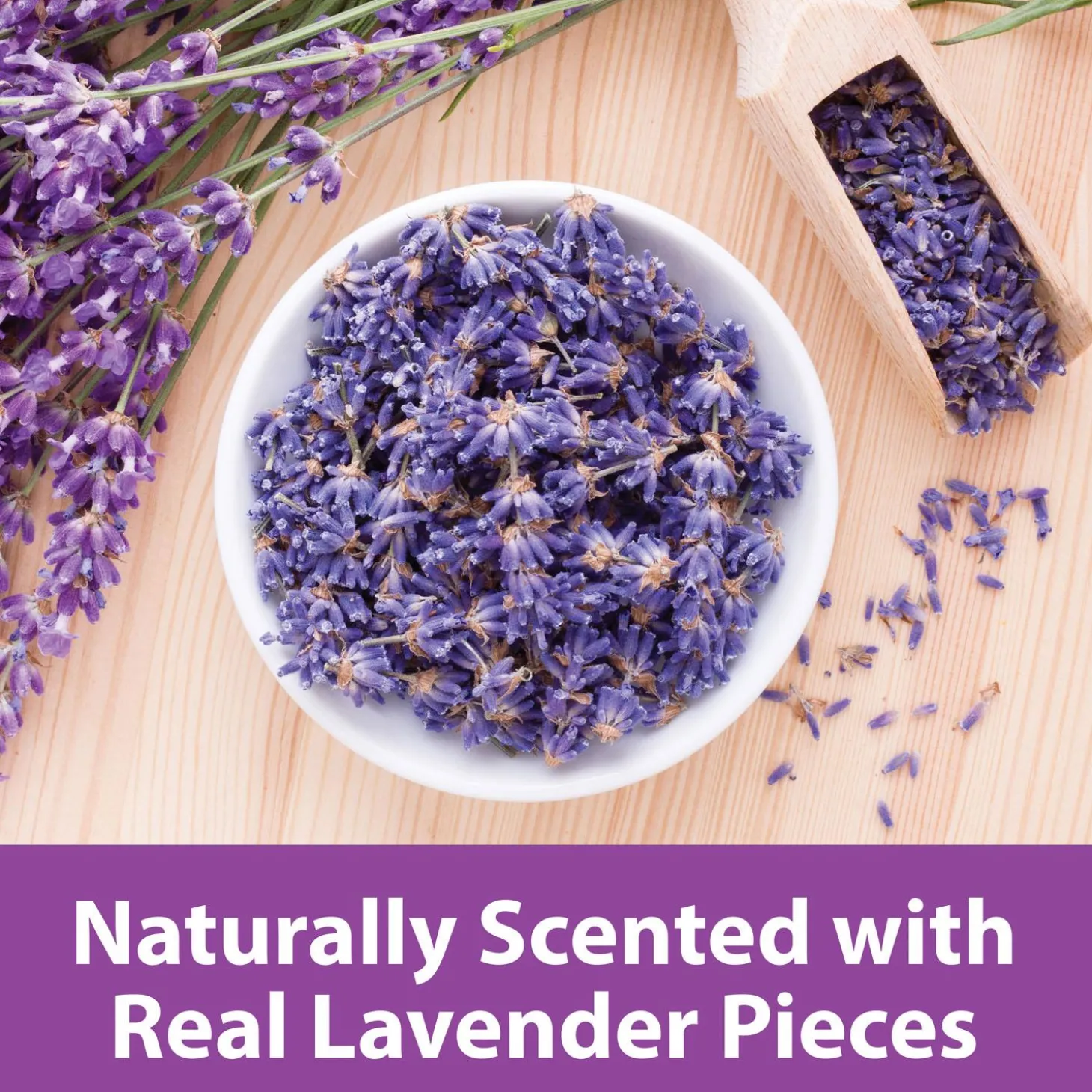 Clean & Cozy Natural with Lavender Paper Bedding
