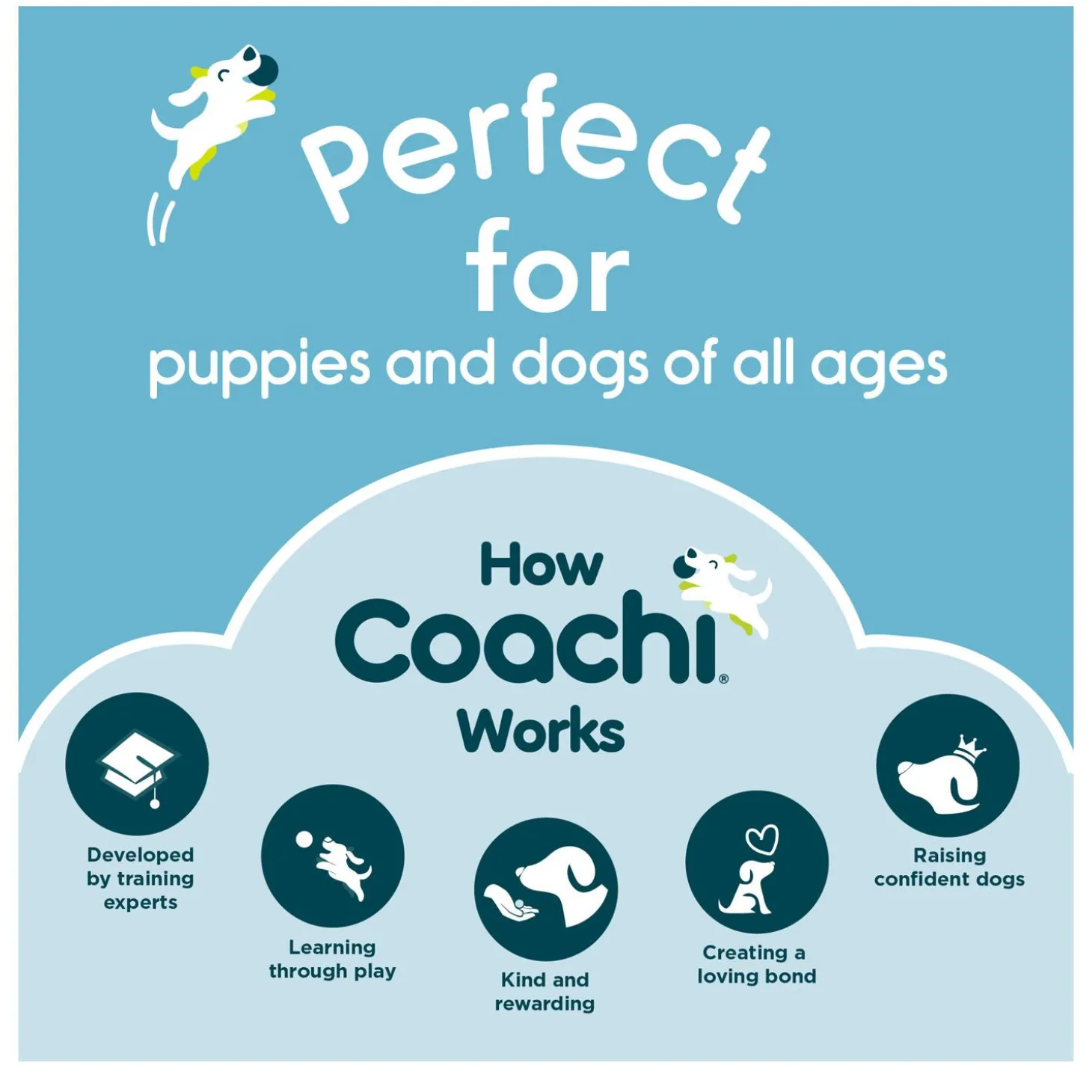 Coachi Professional Dog Whistle