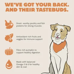 Coastal Grill Chicken Meal & Salmon Meal Recipe Adult Dog Food