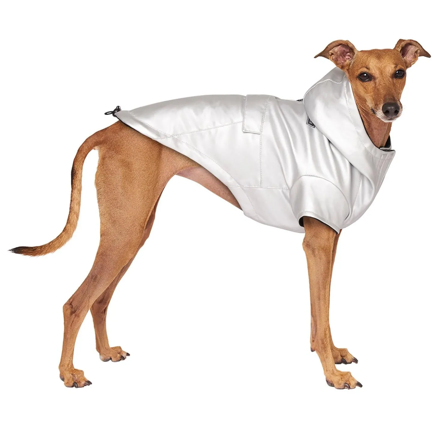 Cold Front Silver Raincoat