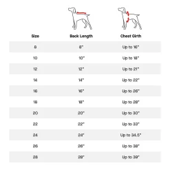 Cold Front Silver Raincoat