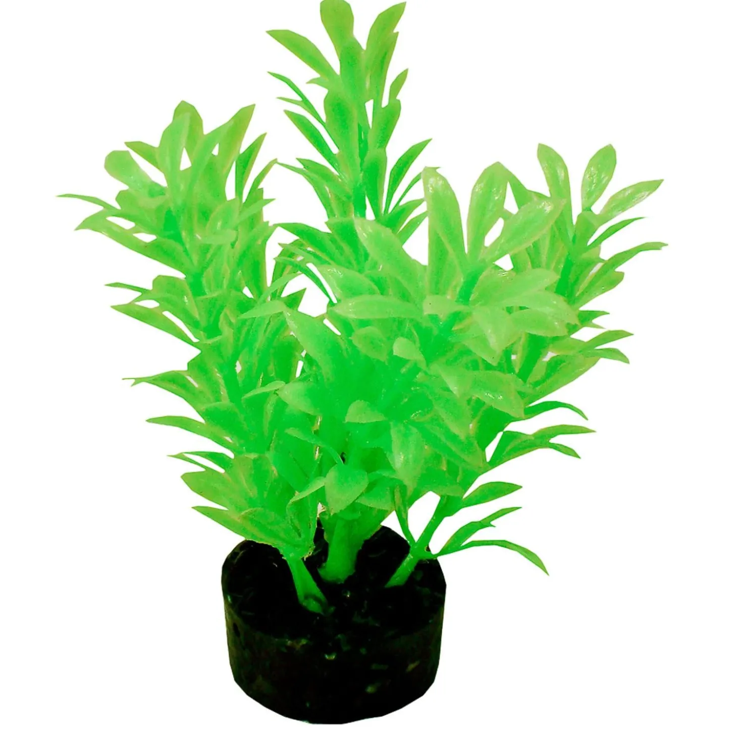 ColorBurst Florals Exotic Mini Plant - Neon Green