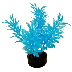 ColorBurst Florals Exotic Mini Plant - Neon Blue