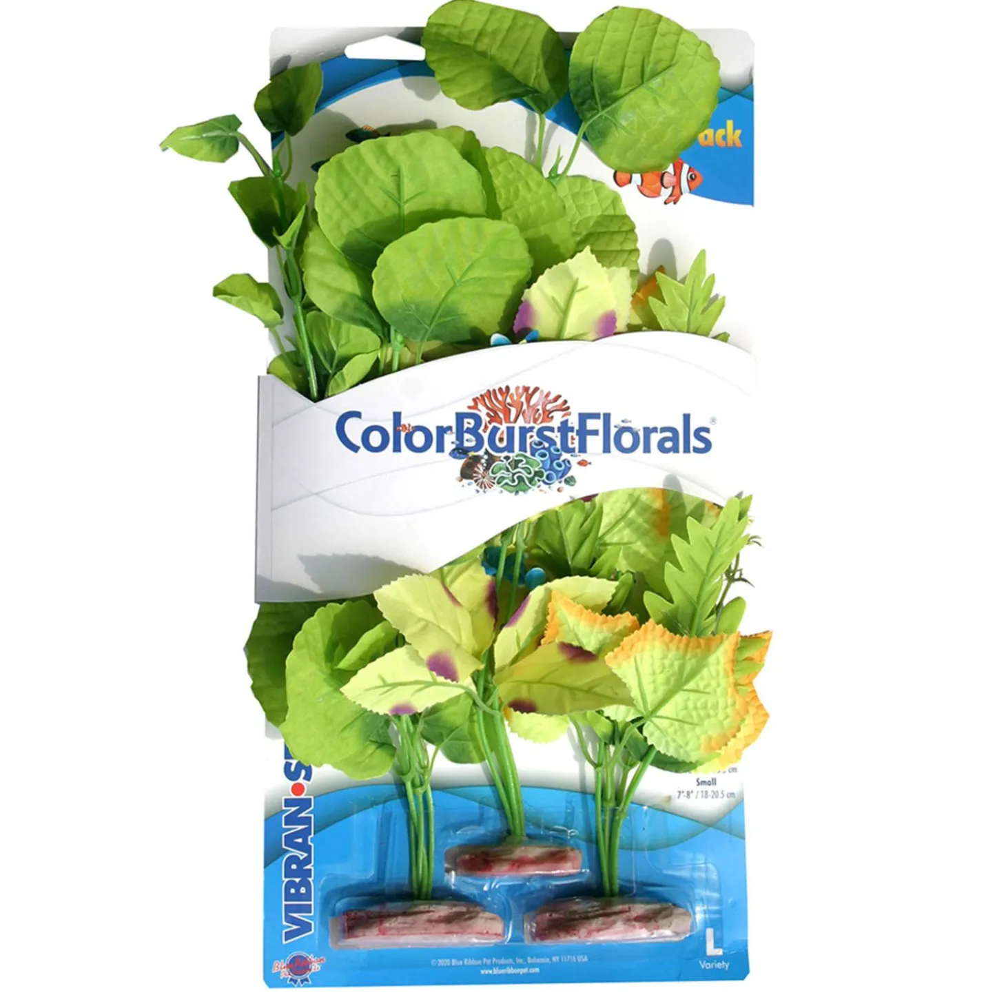 ColorBurst Large Florals Variety Pack