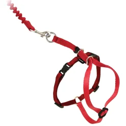 Come With Me Kitty Red Cat Harness & Bungee Leash