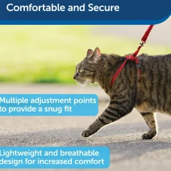 Come With Me Kitty Red Cat Harness & Bungee Leash