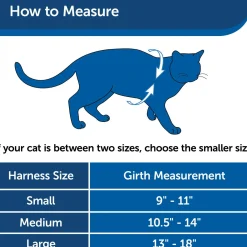 Come With Me Kitty Red Cat Harness & Bungee Leash