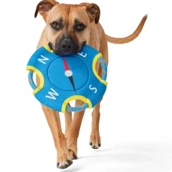 Compass Blue Flyer Dog Toy