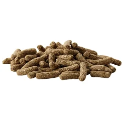 Complete All-in-One Nutrition Cavia Gerbil Food