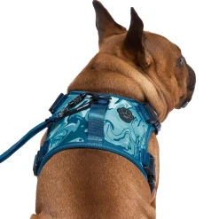 Complete Control Blue Marble Dog Harness