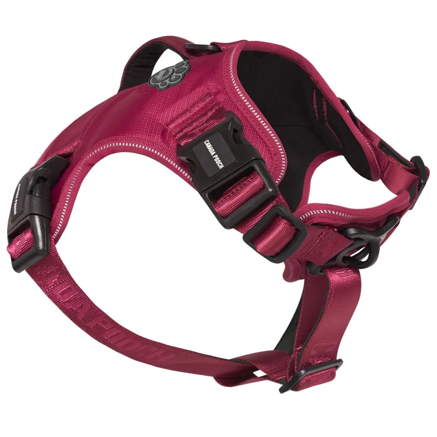 Complete Control Plum Dog Harness