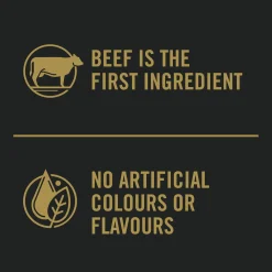 Complete Essentials Beef & Rice Formula Adult Dog Food