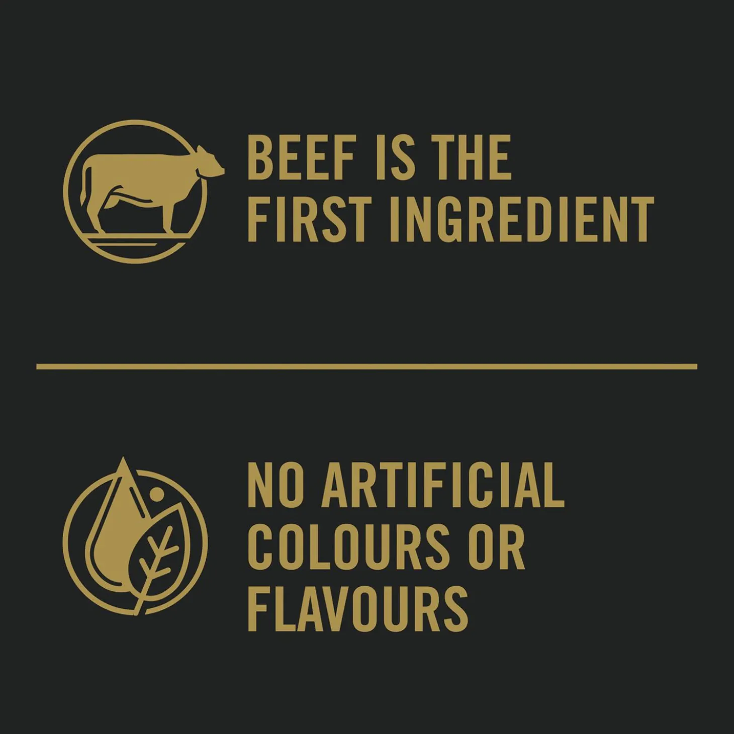 Complete Essentials Beef & Rice Formula Adult Dog Food