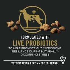 Complete Essentials Beef & Rice Formula Adult Dog Food