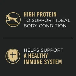 Complete Essentials Classic Chicken & Rice Entree Adult Dog Food