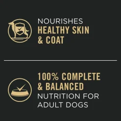 Complete Essentials Classic Chicken & Rice Entree Adult Dog Food