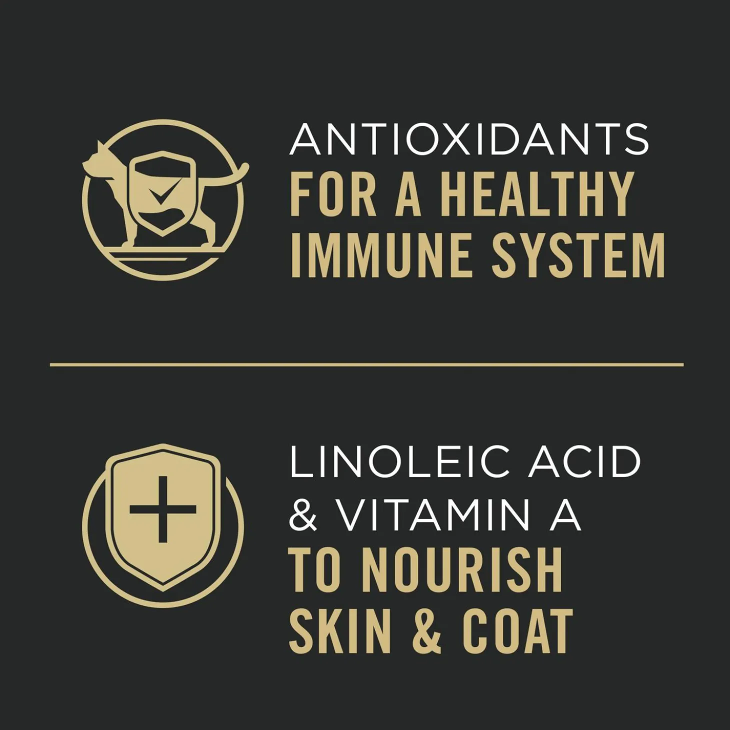 Complete Essentials Salmon & Rice Entree Adult Cat Food