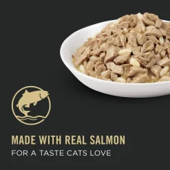 Complete Essentials Salmon & Rice Entree Adult Cat Food