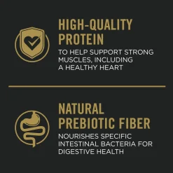 Complete Essentials Shredded Blend Chicken & Rice Formula Adult Dog Food