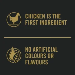 Complete Essentials Shredded Blend Chicken & Rice Formula Adult Dog Food