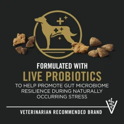 Complete Essentials Shredded Blend Chicken & Rice Formula Adult Dog Food