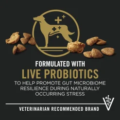 Complete Essentials Shredded Blend Turkey & Rice Formula Adult Dog Food