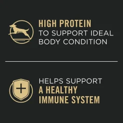 Complete Essentials Turkey & Vegetables Entree Adult Dog Food