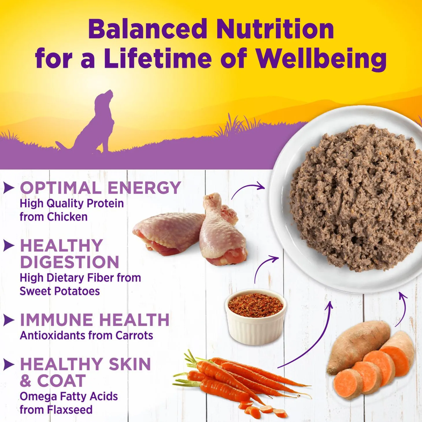 Complete Health Age Advantage Recipe Pate Adult 7+ Dog Food