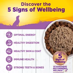 Complete Health Age Advantage Recipe Pate Adult 7+ Dog Food