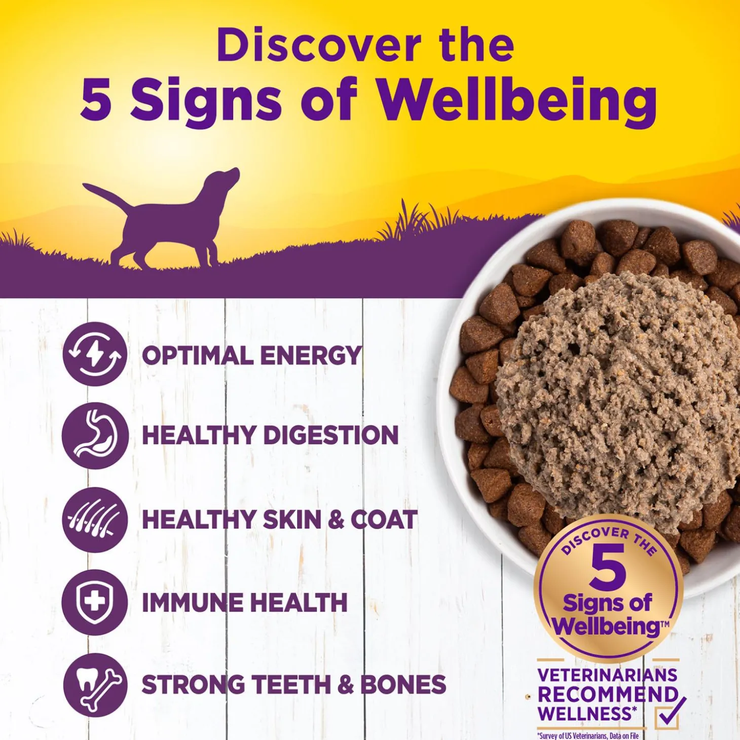 Complete Health Chicken & Sweet Potato Recipe Pate Dog Food