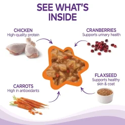 Complete Health Gravies Chicken Entree Adult Cat Food