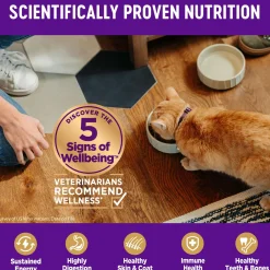 Complete Health Indoor Salmon & Herring Meal Recipe Adult Cat Food