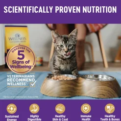 Complete Health Kitten Pate Chicken Entree Kitten Cat Food