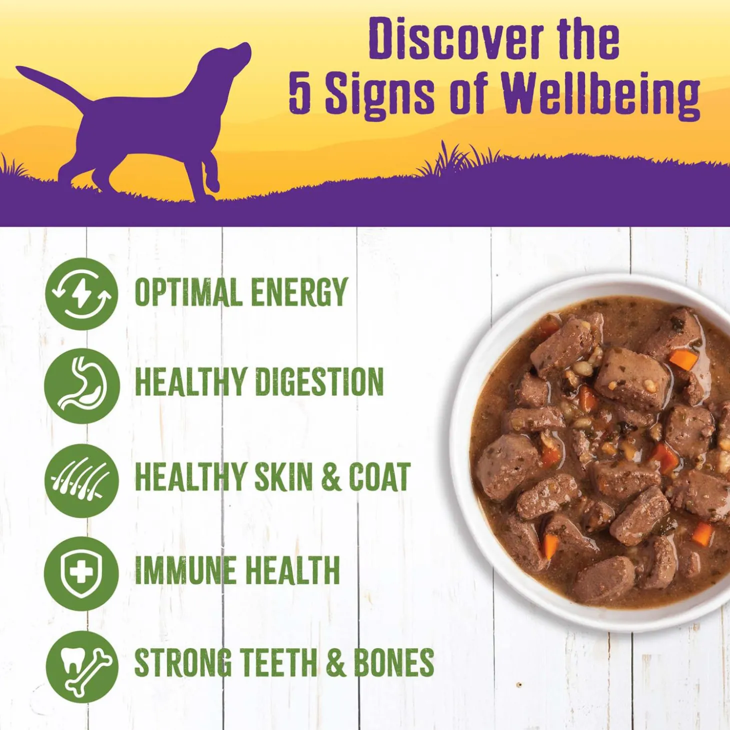 Complete Health Lamb & Beef Stew with Brown Rice & Apples Dog Food