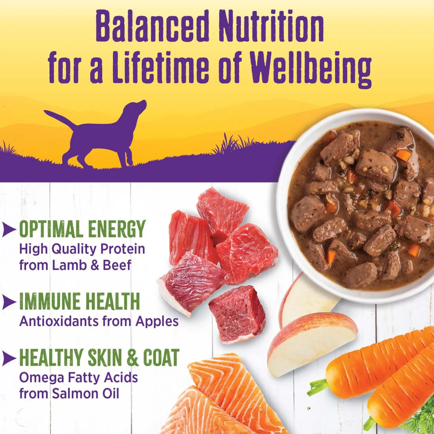 Complete Health Lamb & Beef Stew with Brown Rice & Apples Dog Food