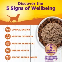 Complete Health Turkey & Sweet Potato Recipe Pate Dog Food