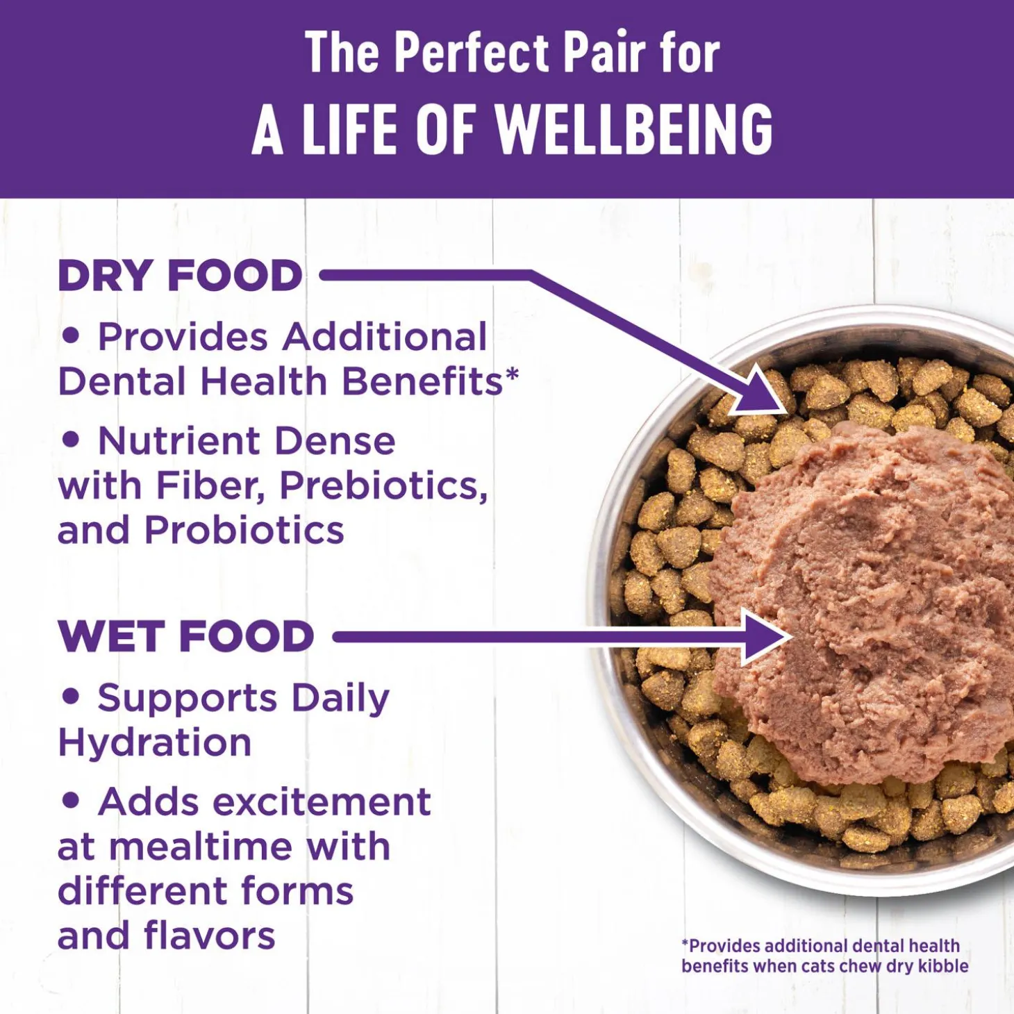 Complete Health Turkey & Salmon Entree Pate Adult Cat Food