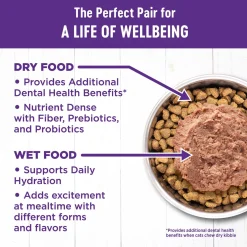 Complete Health Turkey Dinner Pate Adult Cat Food