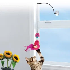 Connects Window Teaser Assorted Cat Toy