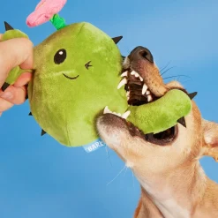 Consuela the Cactus Dog Toy
