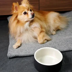 Cool Black Water Bowl