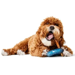 Cooling Ring Dog Toy