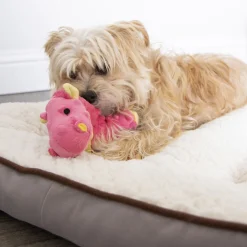 Coral Dragon Dog Toy