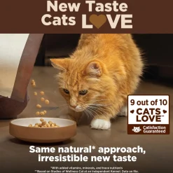 CORE Deboned Chicken, Tukey & Chicken Meal Recipe Adult Cat Food