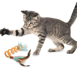 Crazy Coil Springy Cat Toy