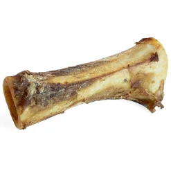 Cured Marrow 6in Bone