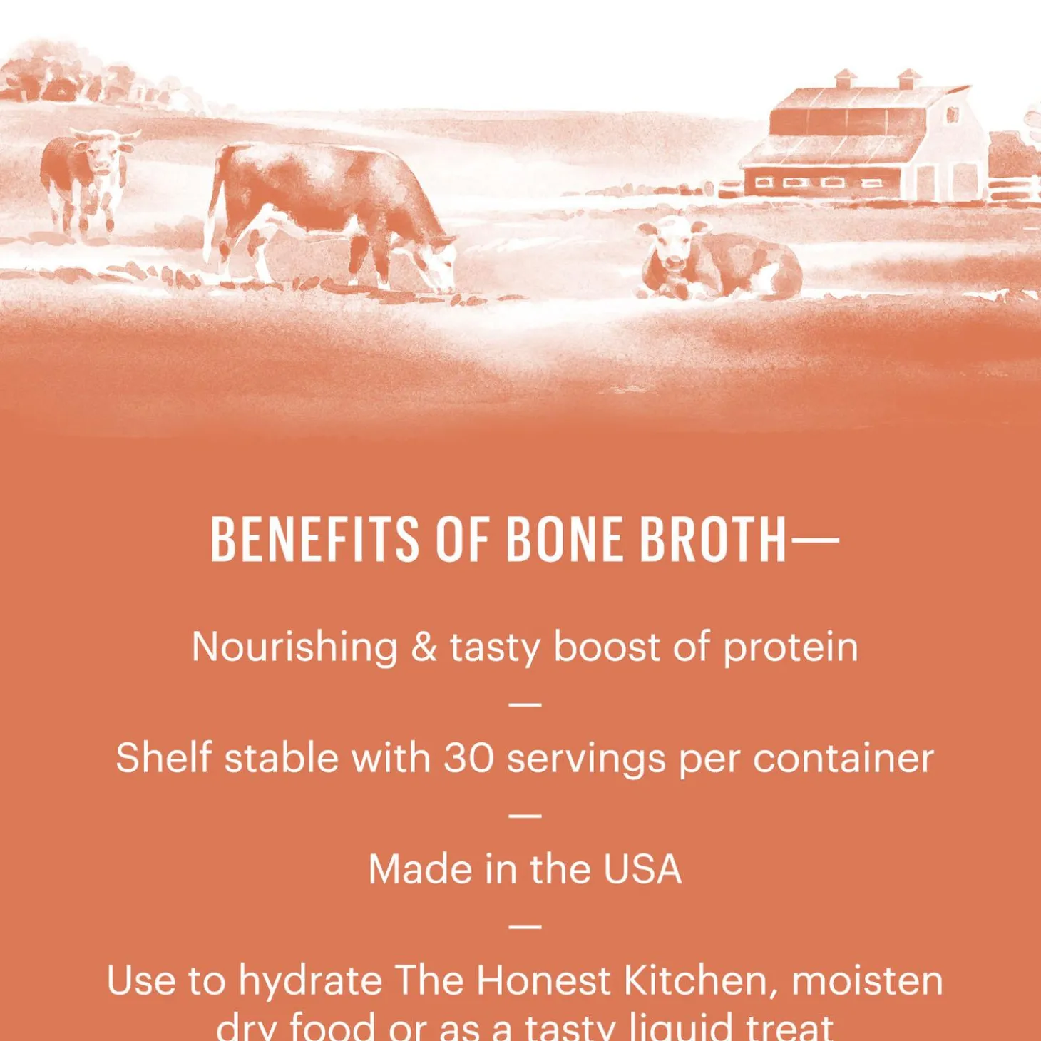 Daily Boosters Beef Bone Broth Dog Supplement