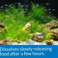 3-Day Pyramid Fish Feeder