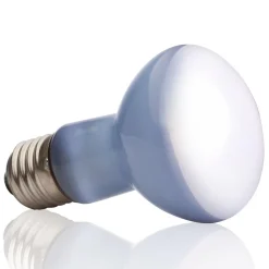 Daylight Basking Spot R20 Bulb