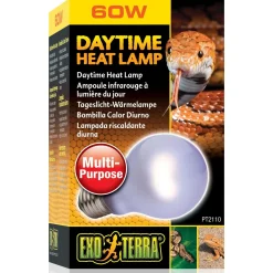 Daytime A19 Heat Lamp